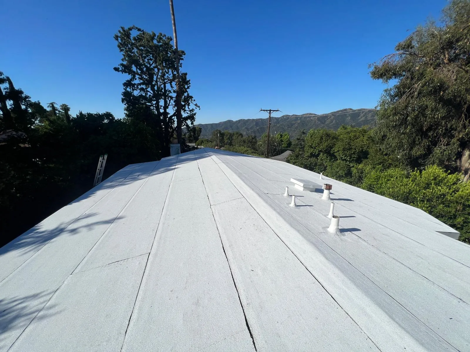 roof maintenance